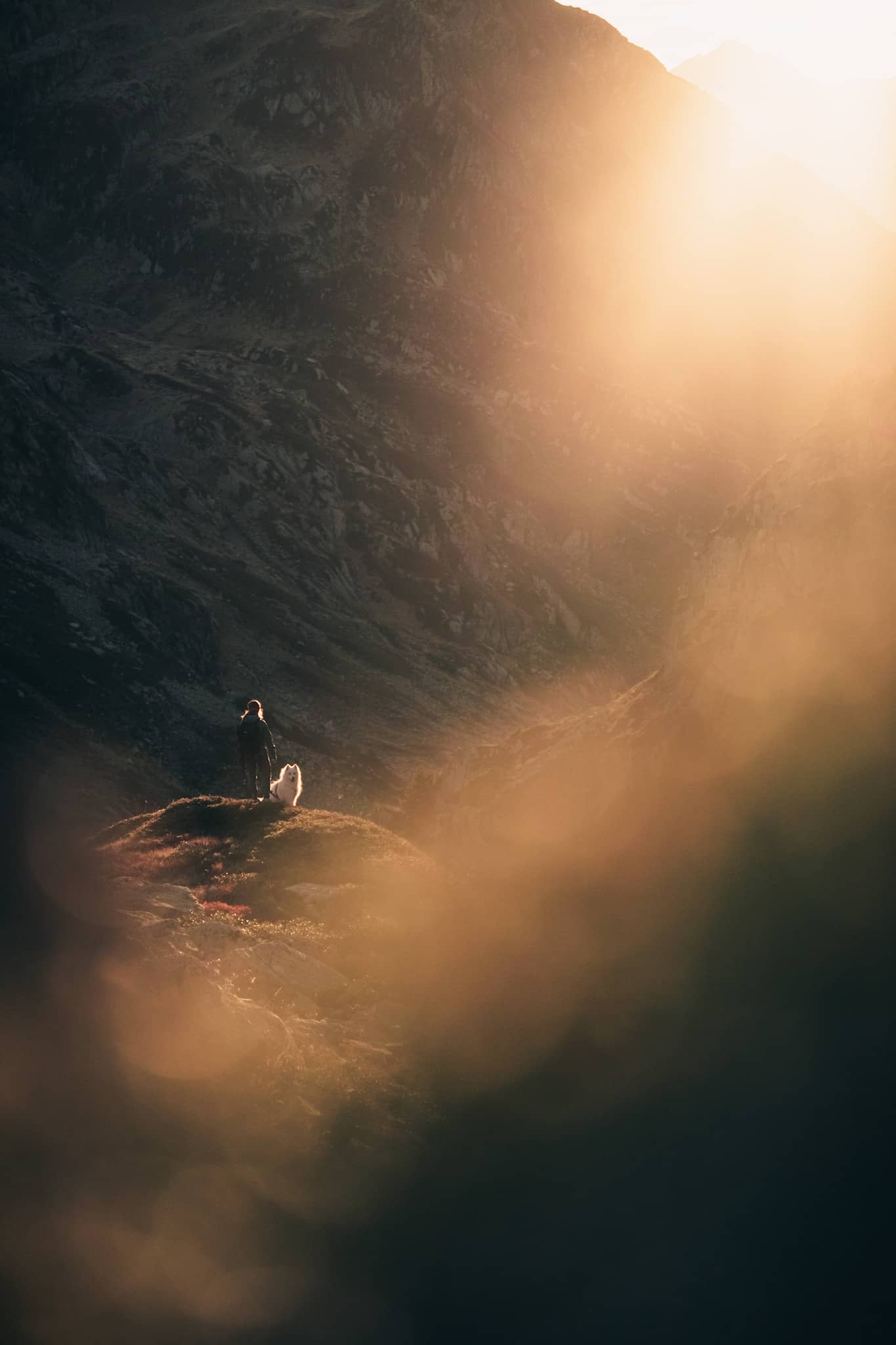 hiker and her dog enjoying sunset