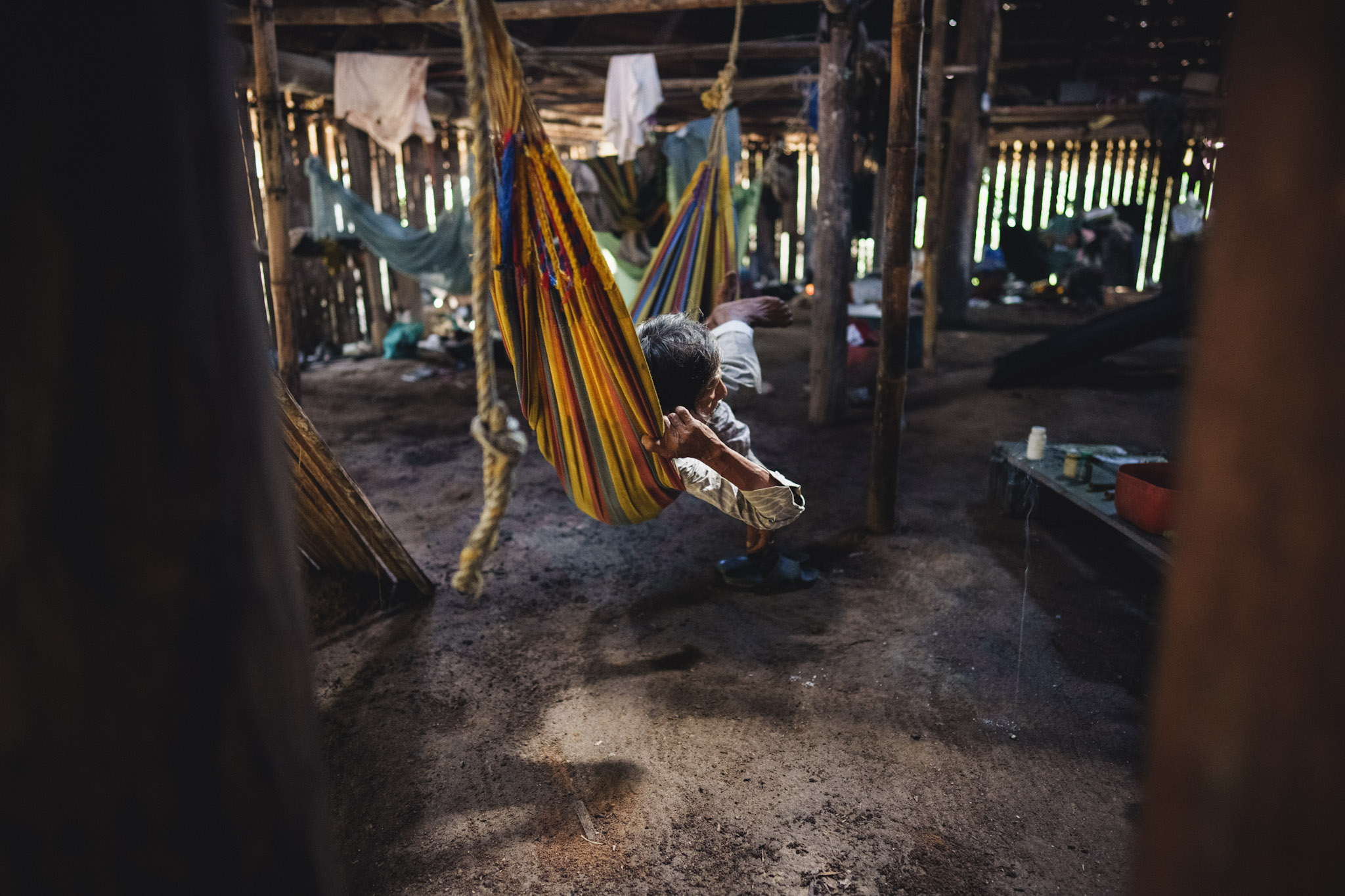 colombian indigenous cacique fisi andoke resting in his hammock